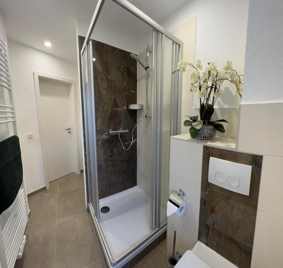Zimmermann Apartment
