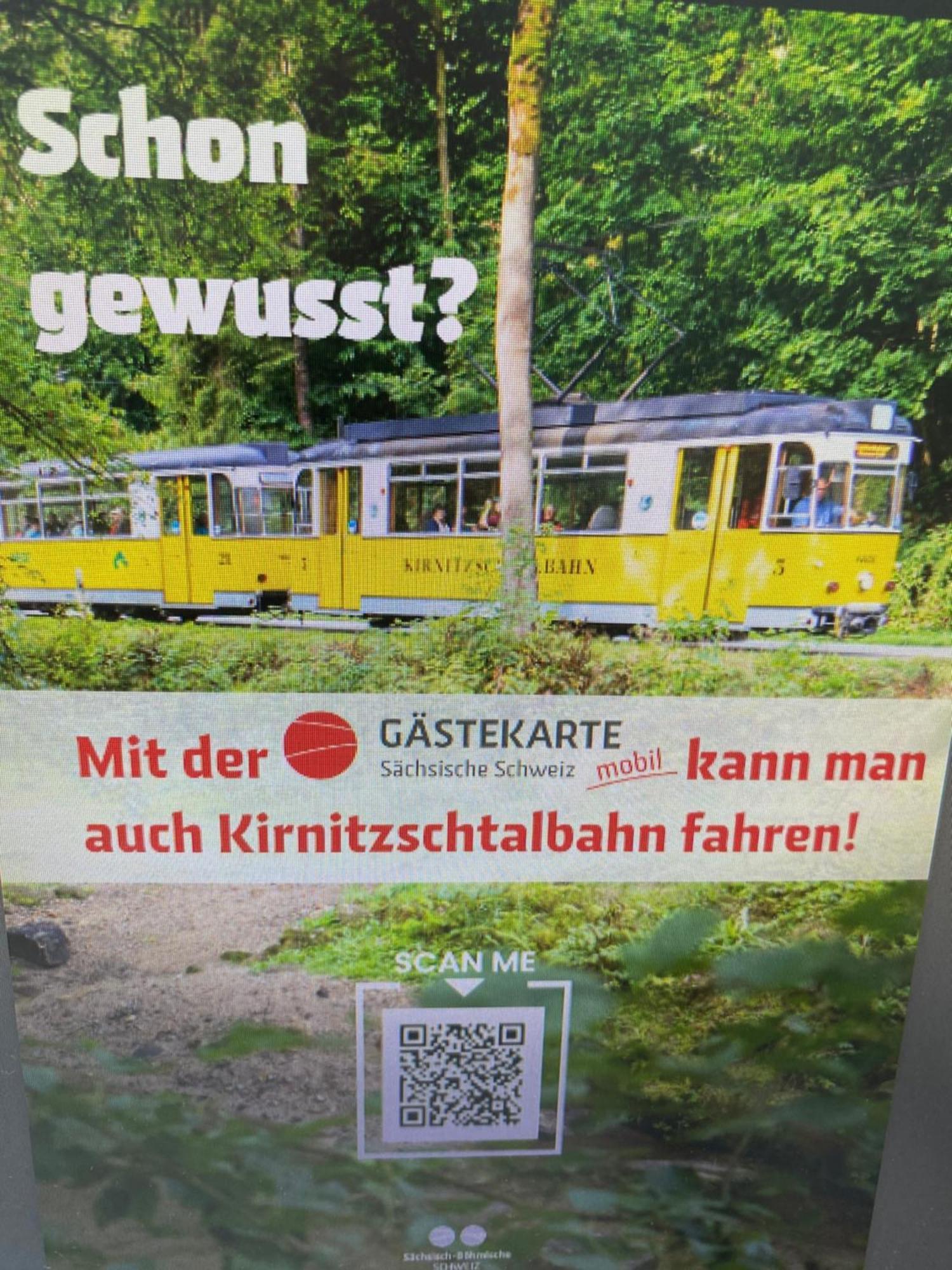 Zimmermann Bad Schandau